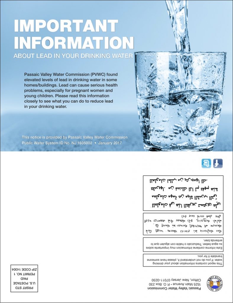 front page of lead pdf