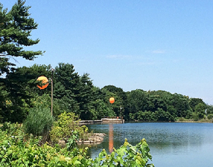 Levine resevoir