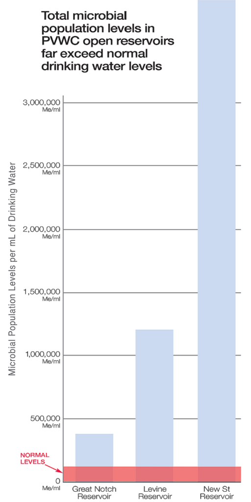Levine Graph