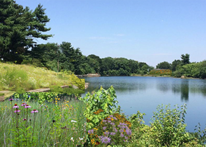 Levine Reservoir